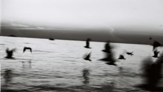 Kako pravilno izvesti promjenu prometne trake – korak po korak