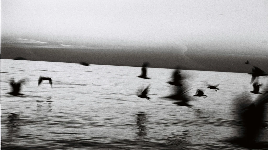 Kako pravilno izvesti promjenu prometne trake – korak po korak