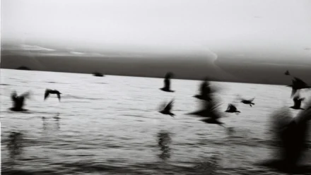 Kako se što prije ostati trudna: praktični savjeti za ubrzanje začeća